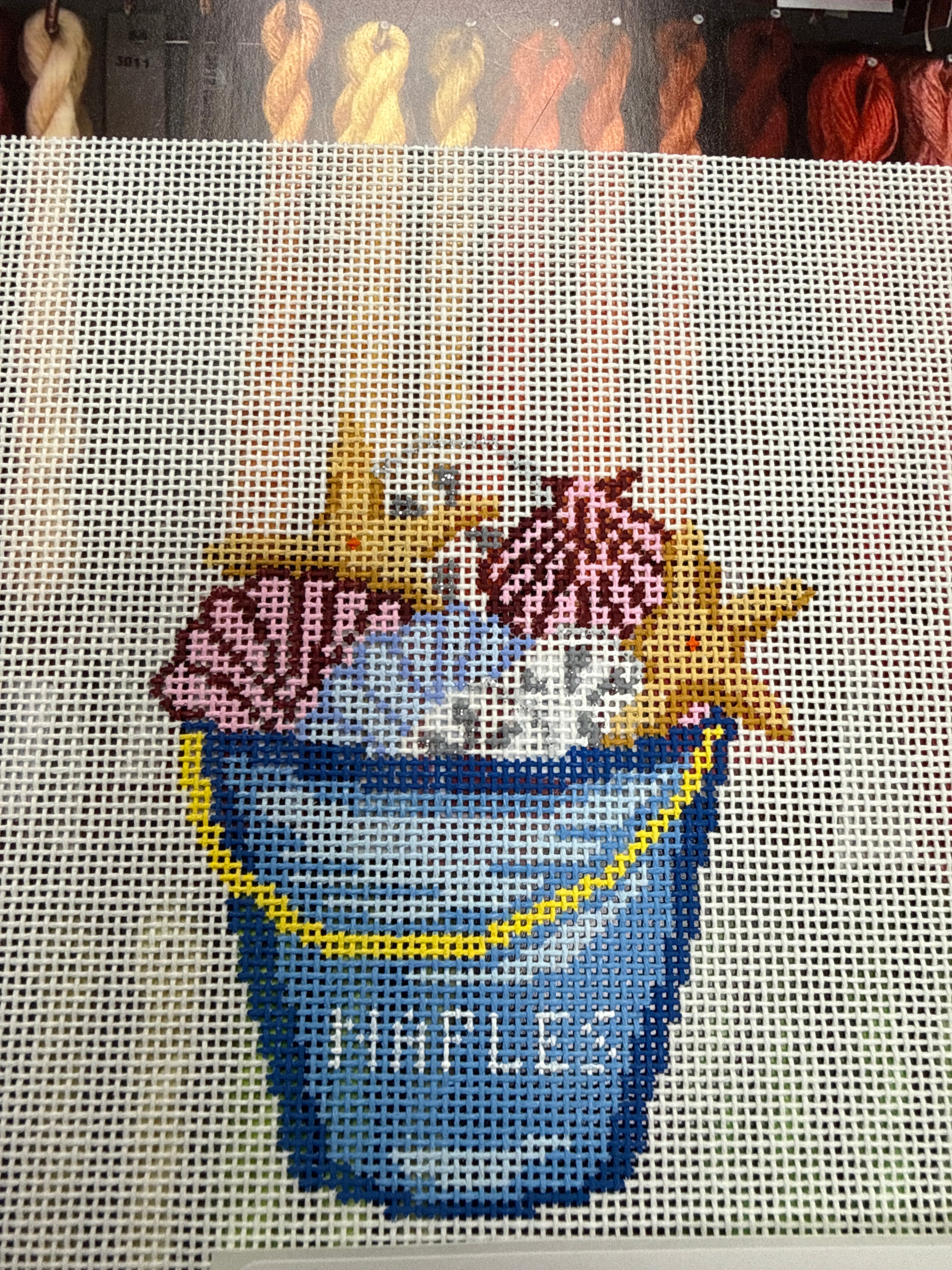 329 Naples Bucket of Shells