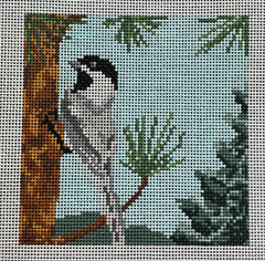 AOK150 Chickadee