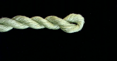 5023 Olive Green Solid Color Impressions
