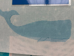 ASIT477 Whale