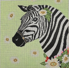 ASIT206 Zebra