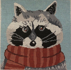 ASIT307 Raccoon