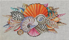 CL043 Seashells