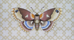NH-92 Moth with Geo