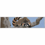 M-193b Raccoon Picnic DirChair Back