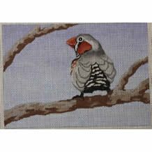 M-276 Details: Zebra Finch
