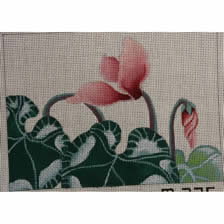 M-335 Details: Cyclamen