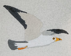 LL-CY-00 Seagull