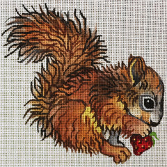 R1115 Baby Squirrel