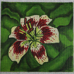 R112 Red and Cream Tiger Lily