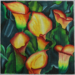 R140 Orange Calla Lillies