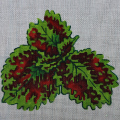 R153 Red/Green Leaves