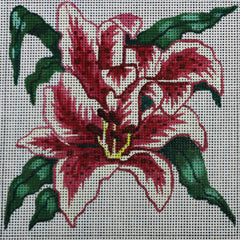 R155 Red/White Flower