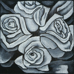 R27 White Roses on Black Canvas