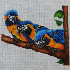 R303 Family of Parrots