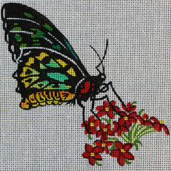 R311 Butterfly with Red and yellow flowers