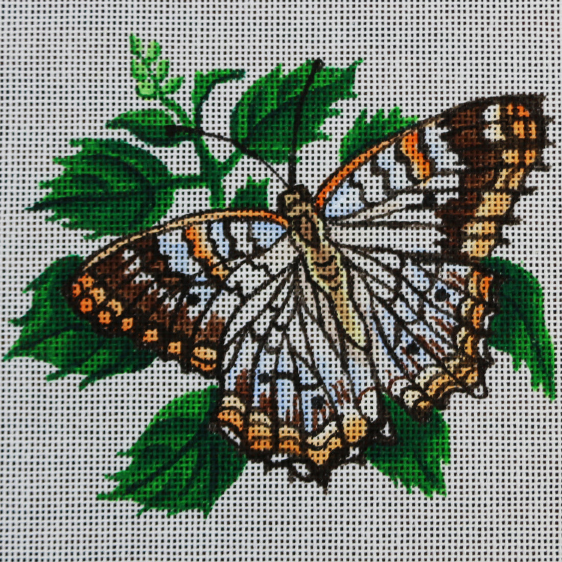 R312 orange,brown, and white butterfly w/ leaves