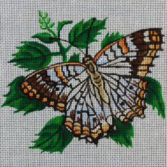 R312 orange,brown, and white butterfly w/ leaves