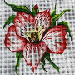 R315 Pink Lily