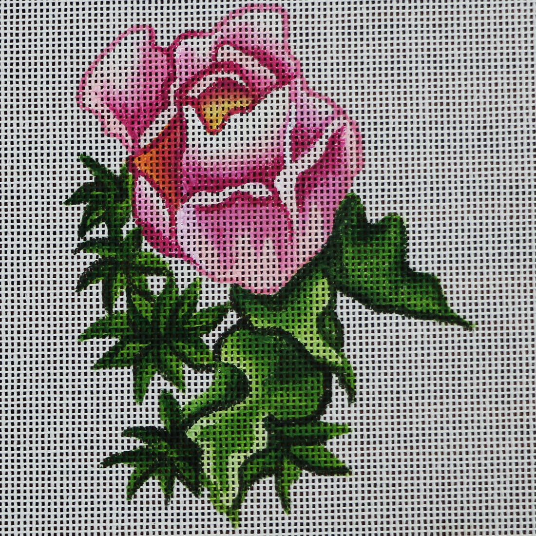 R340 Pink Rose
