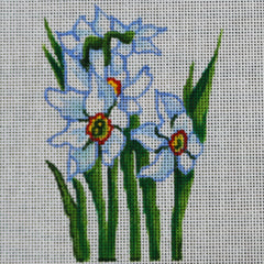R341 Daffodil