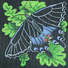 R37 Black and Blue Butterfly
