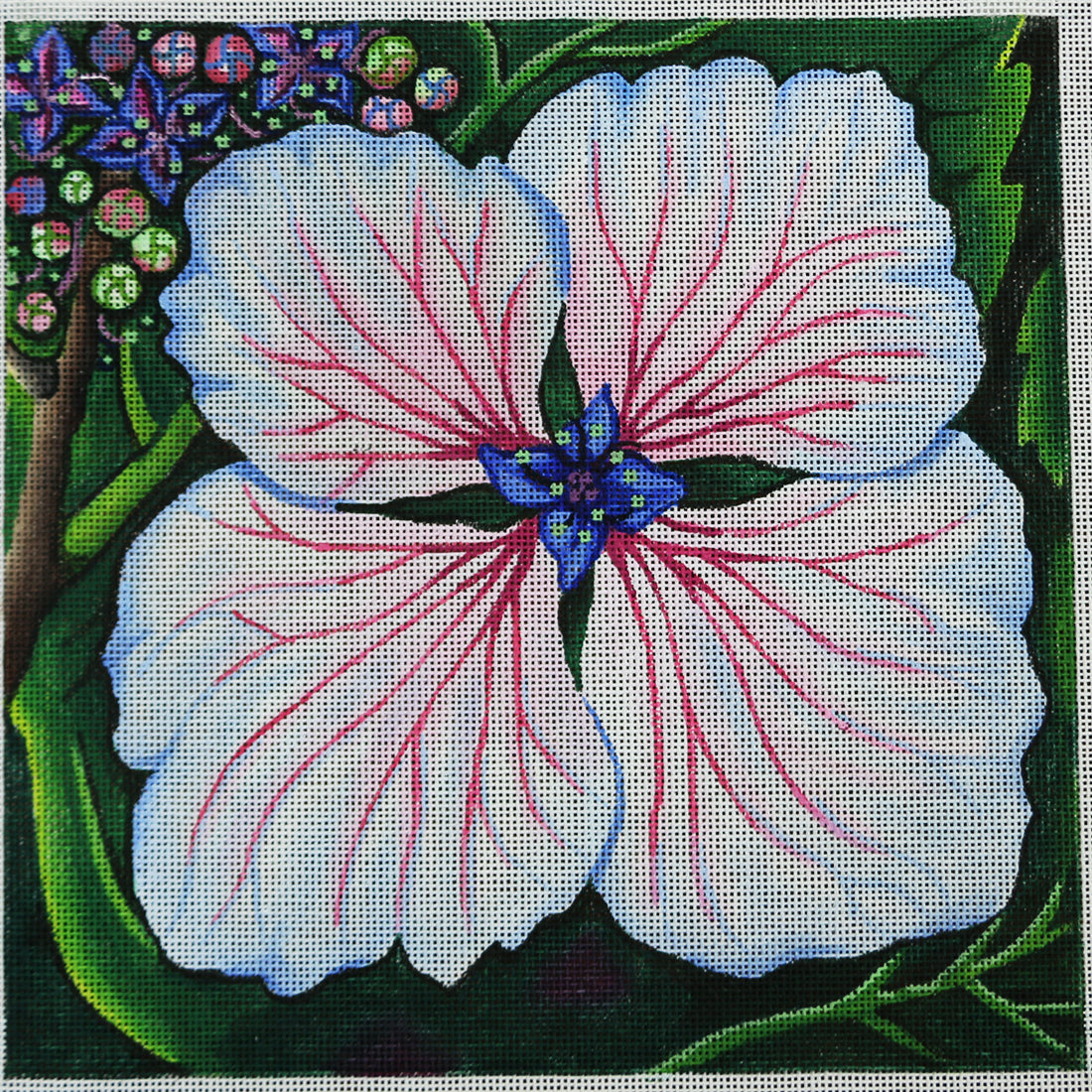 R375 Orchid