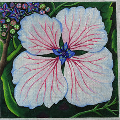 R375 Orchid