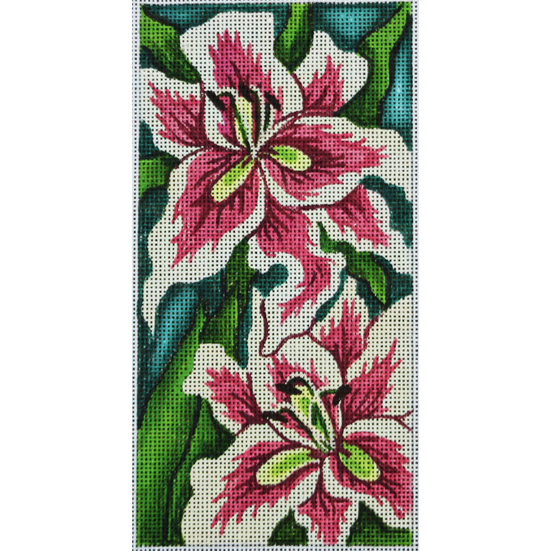 R423 Orchids