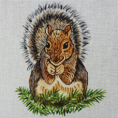 R829 Squirrel