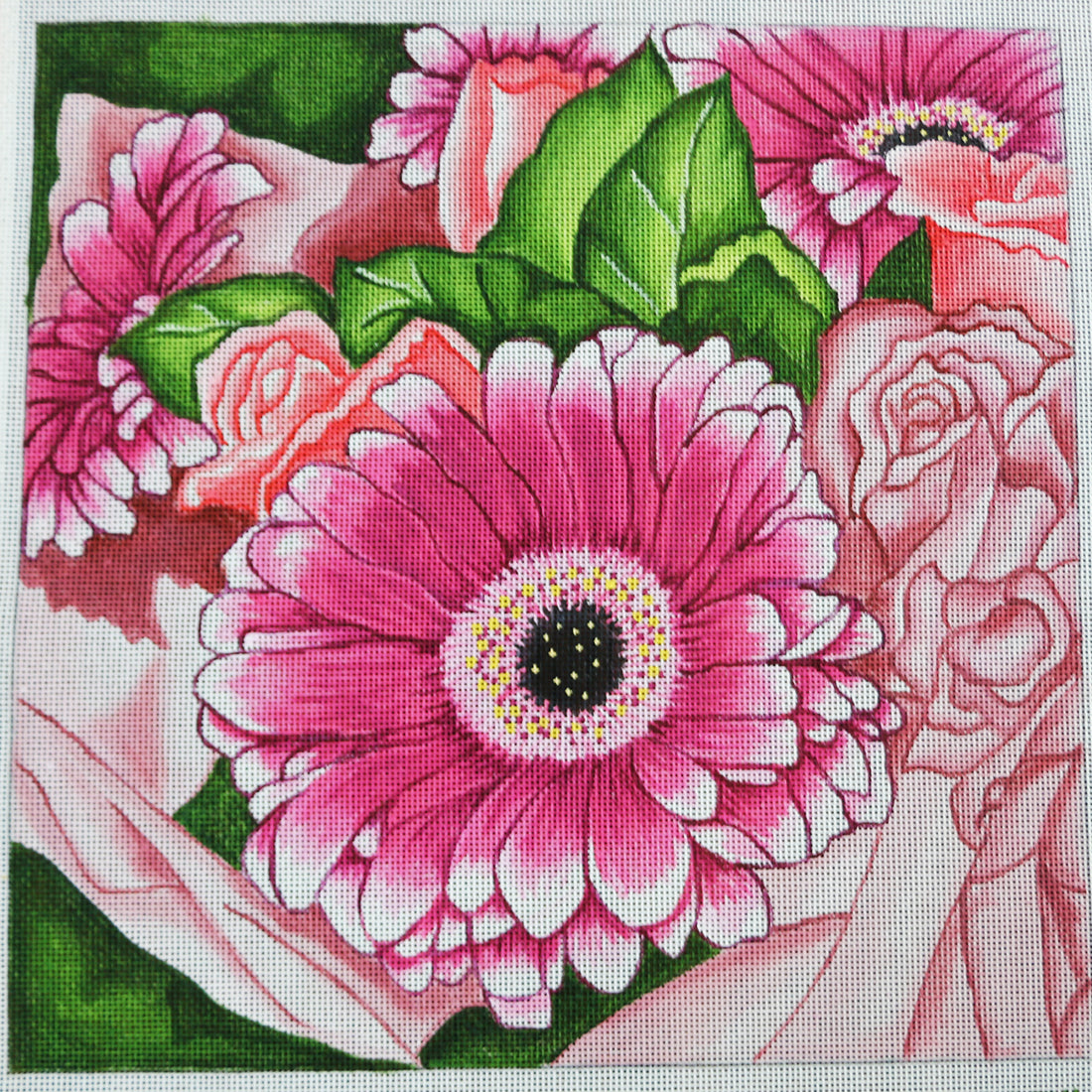 R874 Gerber Daisy