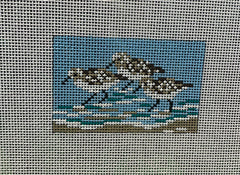 364P Sandpiper Insert