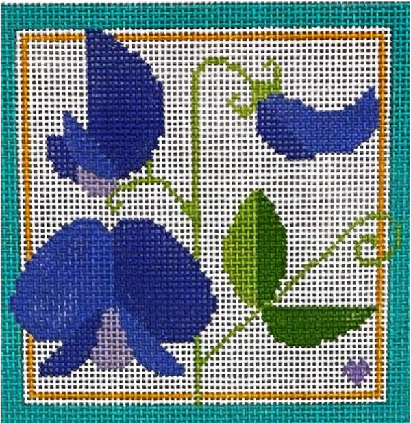 BP-63 Sweet Pea