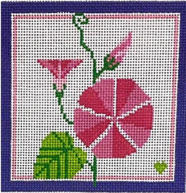 BP-67 Morning Glory