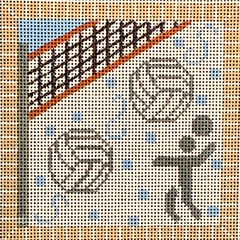 CH-550 Volleyball Square