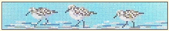 NC-1322 Sandpiper Fob