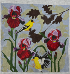 mpf454 irises and finches