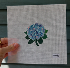 Colorful Hydrangea
