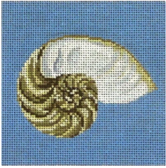#102 Nautilus Shell