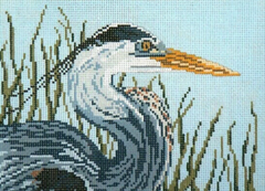 1601 Great Blue Heron Head