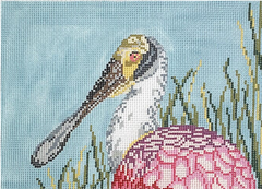 1604 Roseate Spoonbill Head