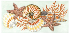 C-587 Shellacious