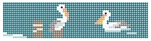 TSS-105 Shore Birds Belt