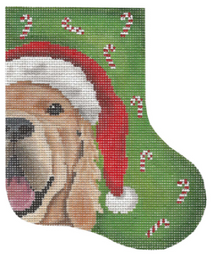 GD-SX01 Golden Claus Mini Sock