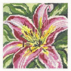 213 Stargazer Lily Flower