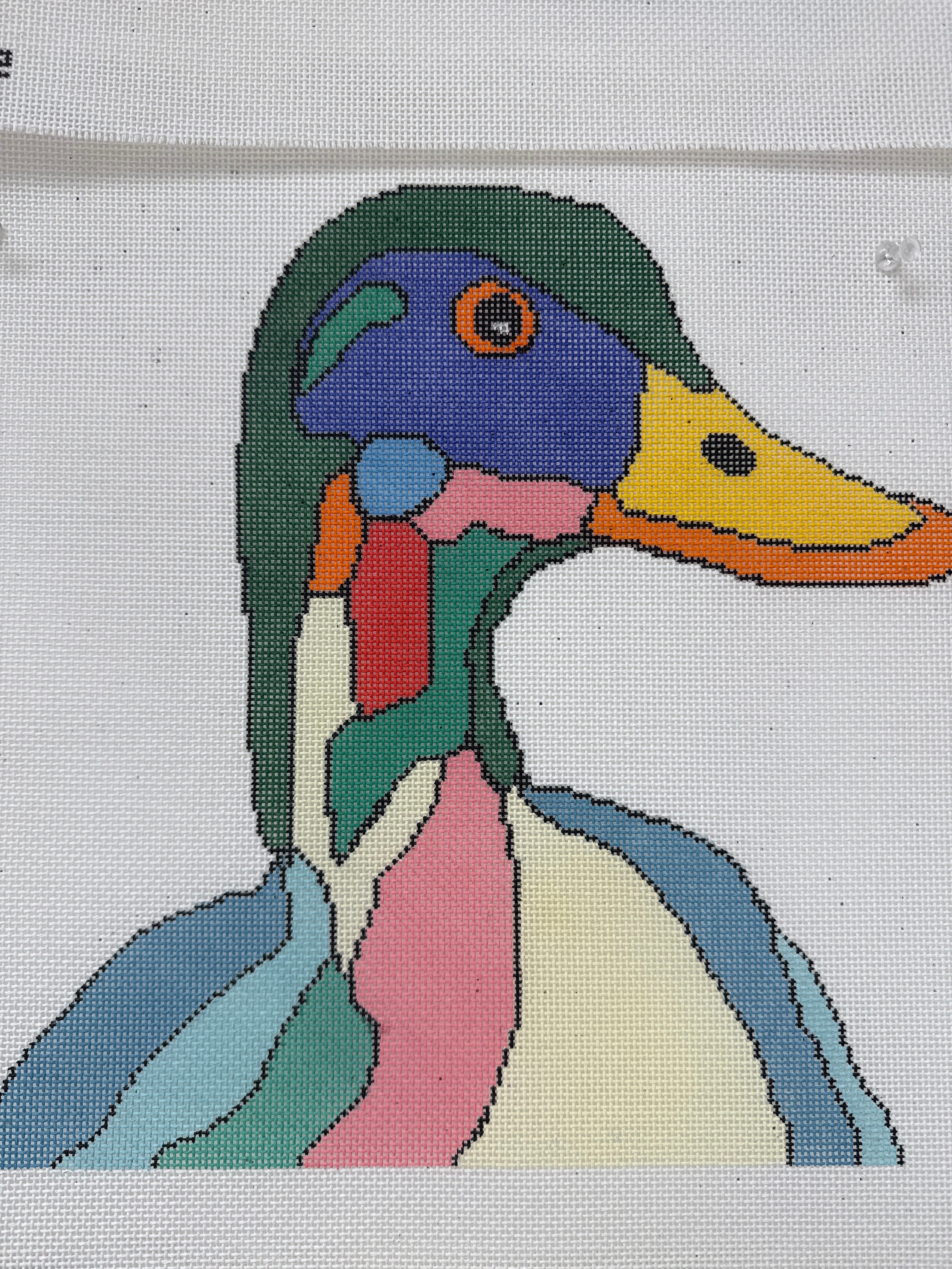 ASIT563 Colorful Duck