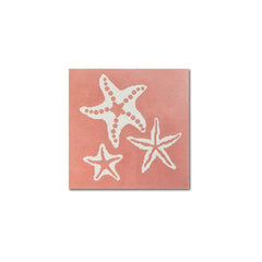 LRE-PL28 Starfish on Coral