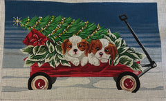 LRE-PL55 Wagon Wonderland