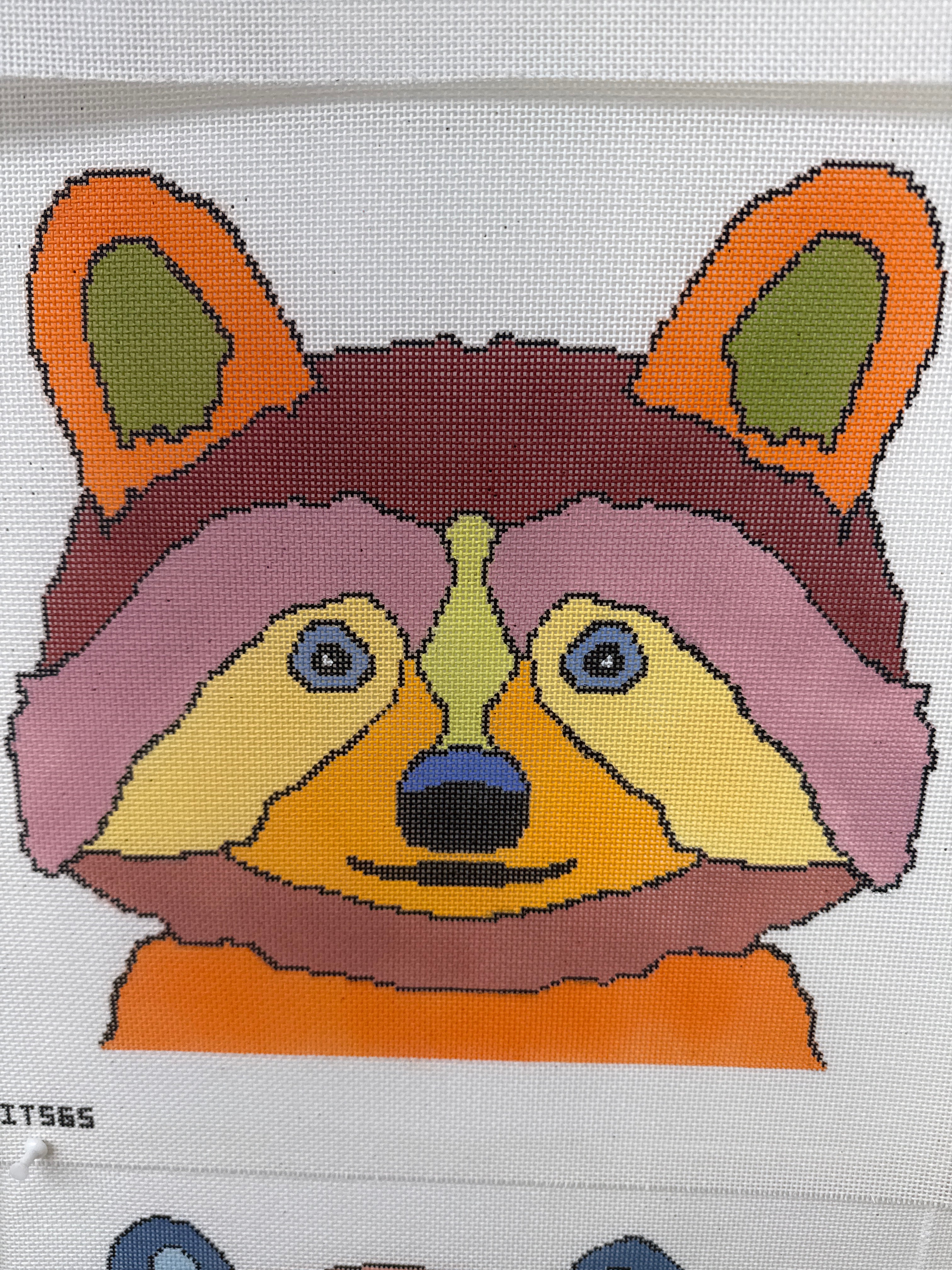 ASIT565 Colorful Racoon
