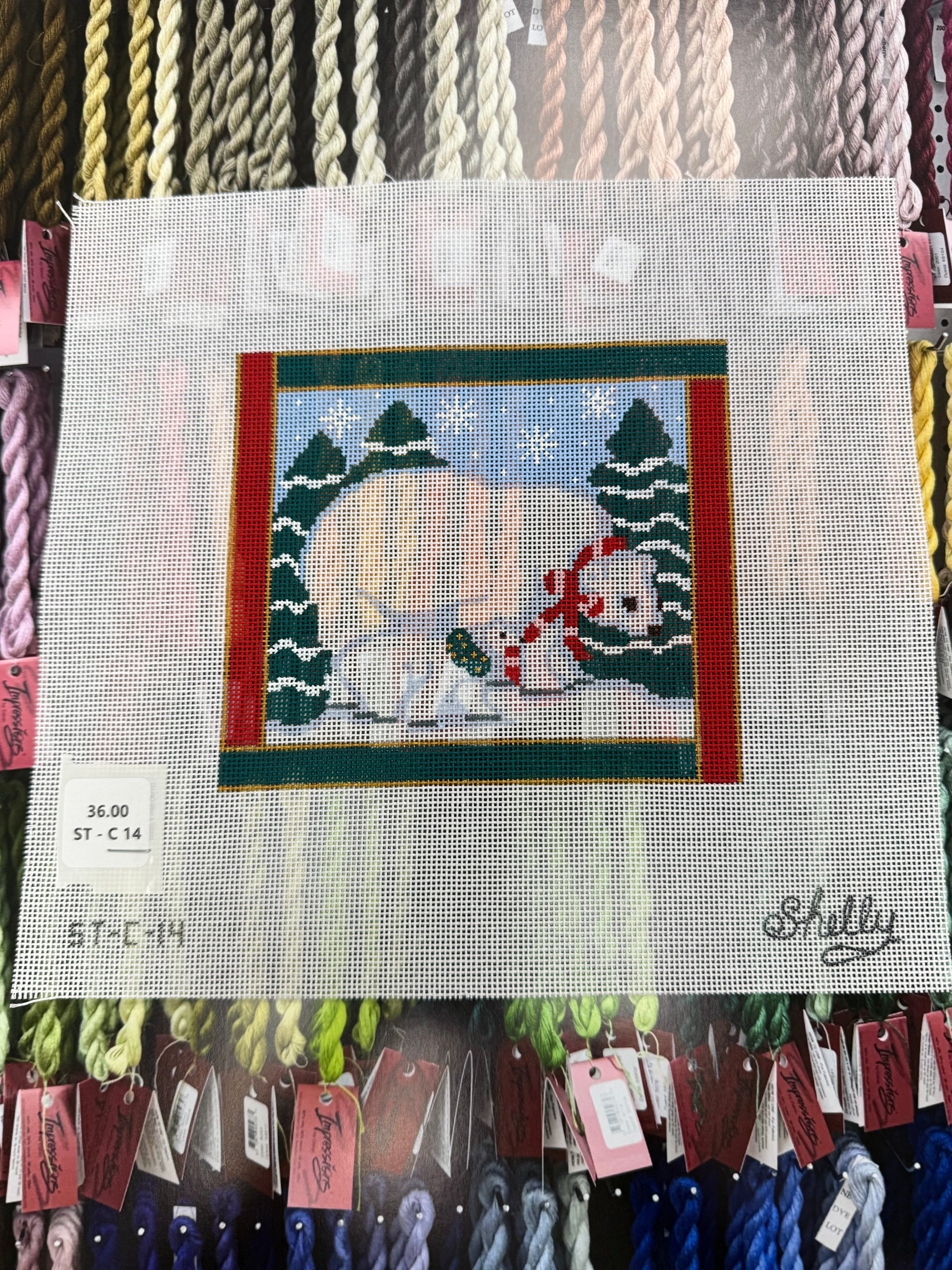 ST-C-14 Polar bears